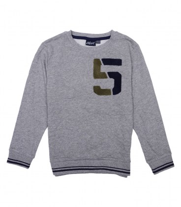 Толстовка c начесом Alive